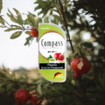Compass Mini Matcha - Green Tea Pomegranate 7g