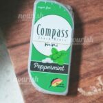 Compass Mini Spearmint Ice 7g
