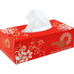 Fresh Ones Facial Tissue 100's Box