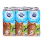 DUTCH LADY UHT MILK 200 ml CHOCOLATE