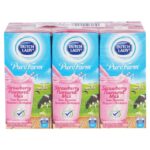 DUTCH LADY UHT MILK 200 ml STRAWBERRY